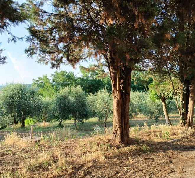 20260701105727-17